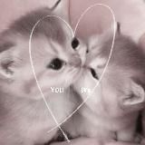 K-POP Wonderful❤️🩹