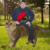 Crokocut вещает