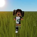 𝙬𝙚𝙨𝙩𝙚𝙧𝙧𝙞 𝙨𝙝𝙤𝙥/𝙥𝙧𝙤𝙤𝙛𝙨❤🩹🐈🐾