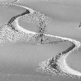 ProFreeride