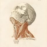 Заработаем вместе💰