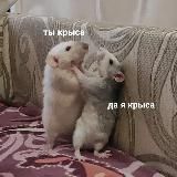 крысиная дыра