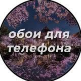 Обои для телефона