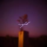 𝐌𝐮𝐟𝐭𝐚𝐡