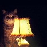 Истории из жизни