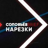 СОЛОВЬЁВ нарезки (Центральное телевидение. Архив)