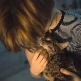 Министерство Кошачьих Дел