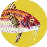 По памяти пройдусь