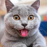 ВОКРУГ СВЕТА 🌎 САМЫЕ КРАСИВЫЕ МЕСТА