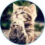 Милые животные