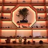 Тифрейм. Чайная и магазин китайского чая