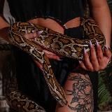 𝘔𝘢𝘵𝘦𝘳 𝘚𝘶𝘴𝘱𝘪𝘳𝘪𝘢