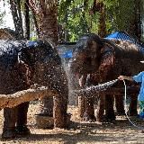 Даша-путешественница