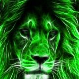 Чат "Львиный Патруль." Тайган.