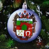 Администрация Васильевского муниципального округа