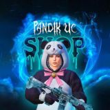 PANDIK UC чатик