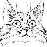 Центр помощи "Старый кот"