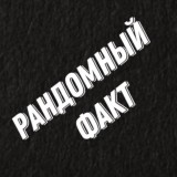 Рандомный Факт