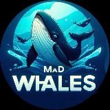 MAD WHALES 🐬🐬