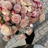 TapSwap / тап свап
