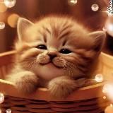 Нежные открытки🧡