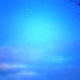 Живые с Любовью Воропаевой