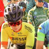 Литовская ласточка 34