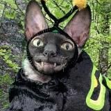 Хита eighthsun болтает