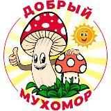 КУПИТЬ МУХОМОРЫ МИКРОДОЗИНГ