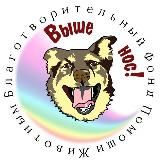 Фонд ВЫШЕ НОС 🐾