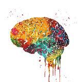 Brain Games | викторины | факты