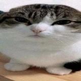 ГЕТТО 🙇🏿♀️