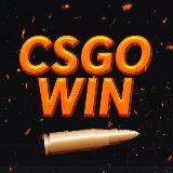 CSGOWIN