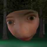 Охота от Беброяки