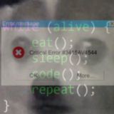 IT Conversation