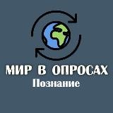 Мир в опросах