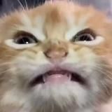 #нытьёматери