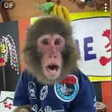 караван бабьеги