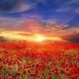 ОТЗЫВ MURAD_0303 🌏🌏🌏🌏