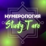 Нумерология Study Taro