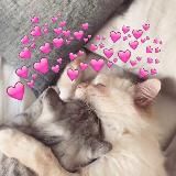 Я люблю тебя