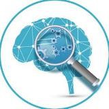 Интересные факты и истории