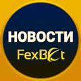 FexBet news