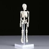 Продам канал 250р