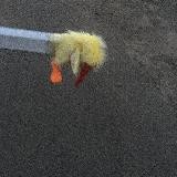 Говорить Украина