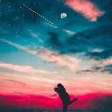 2 stalkera Moscow🦺