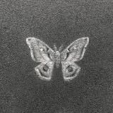 блучев крышка звёзд