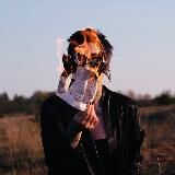 ШЕНАДЖИ : сенси, творчість, глибина