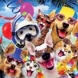 Хо-Хо-Хвостики