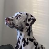 News | Speed Up Bot • Sped Song Bot • Slowed Reverb Bot